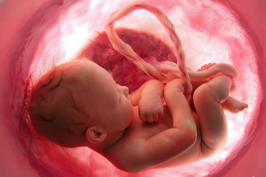 fertilização in vitro em Curitiba